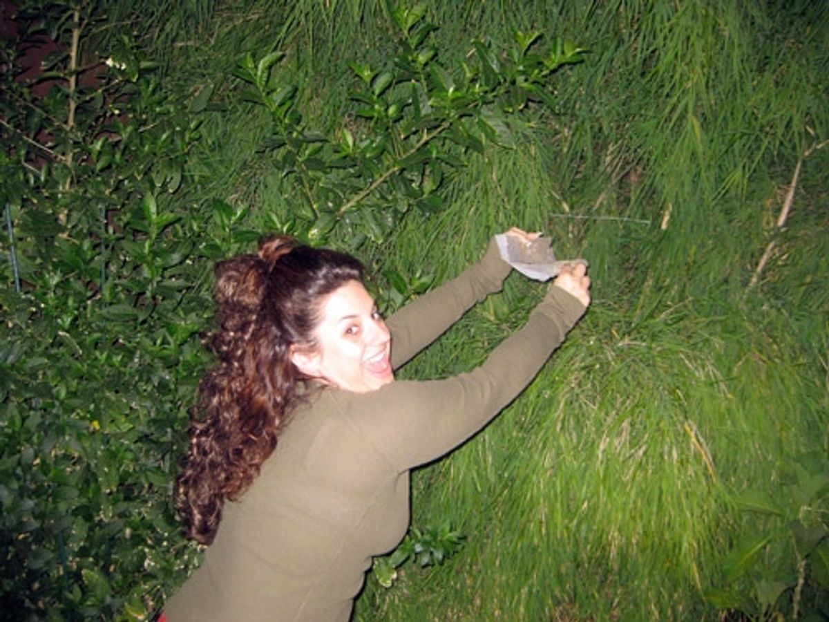 Marissa Jaret Winokur: 'Fly Lady Bug Fly!!!' at 