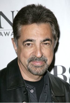 Joe Mantegna Photo