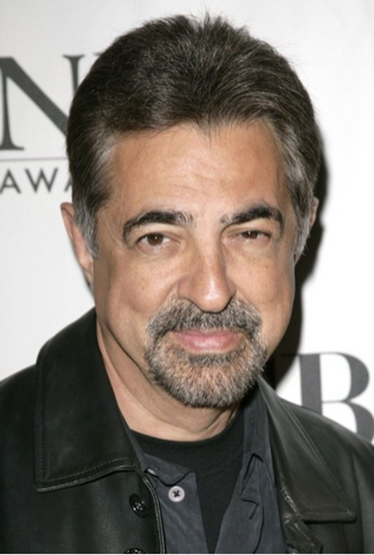 Joe Mantegna at 