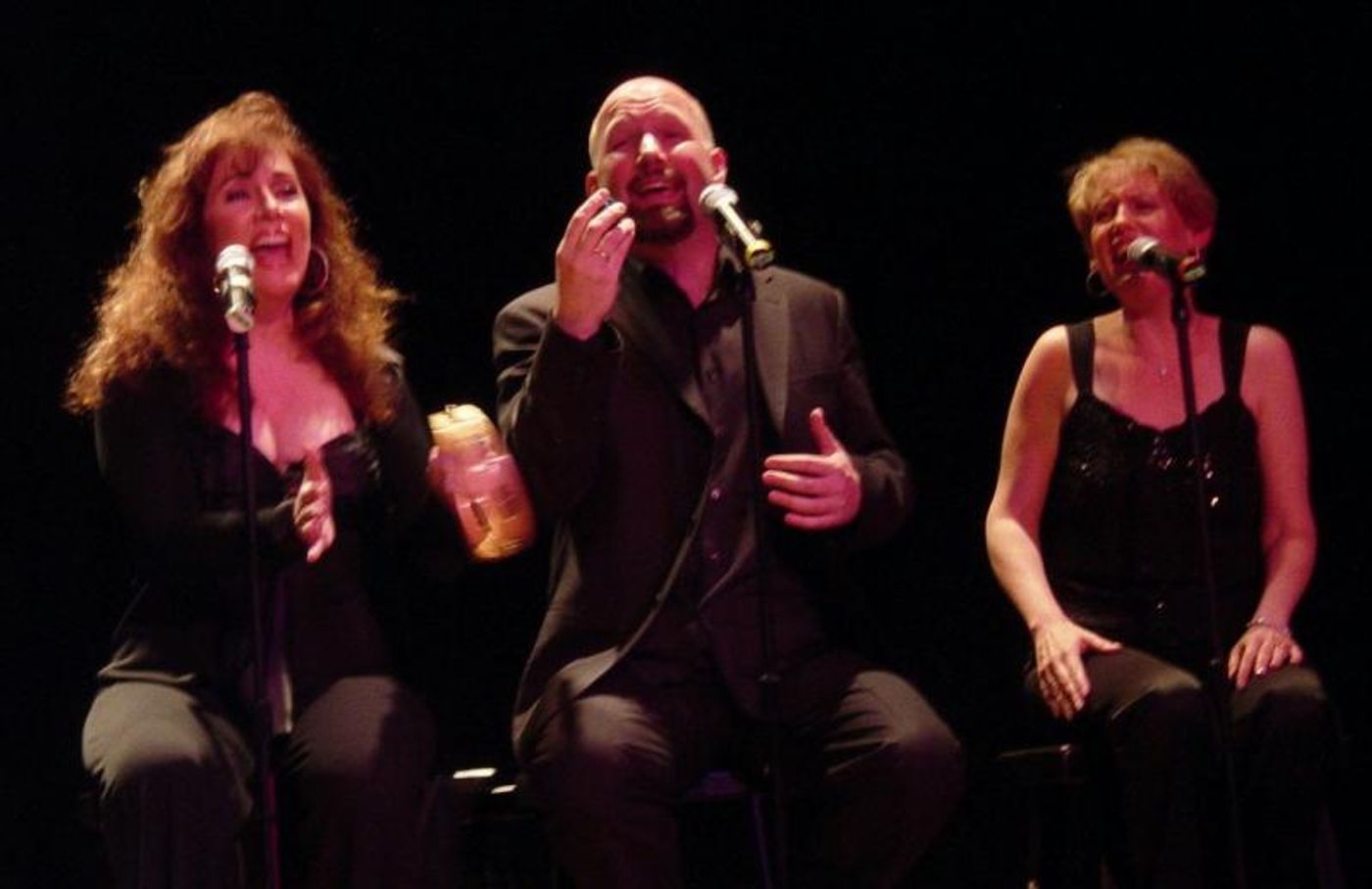 Photo Coverage: Stephen Schwartz & Friends  Image