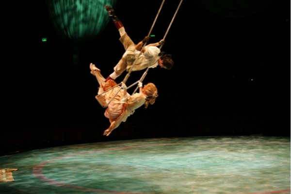 Sean Ewing and Ariel Shepley Photo