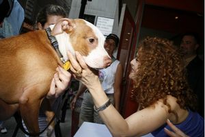 Bernadette Peters Photo