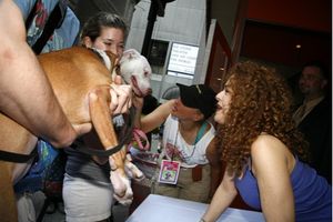 Bernadette Peters Photo