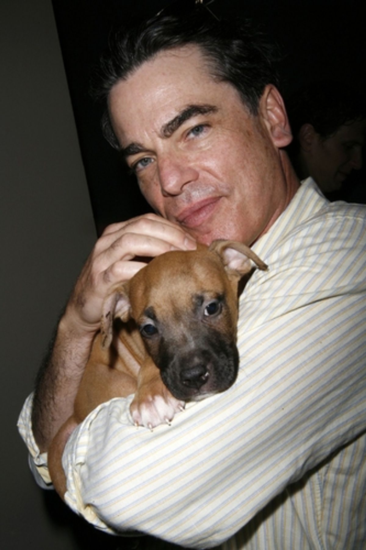 Peter Gallagher 
 at 
