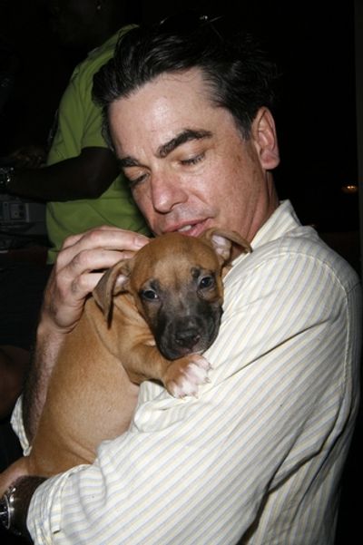 Peter Gallagher 
 Photo