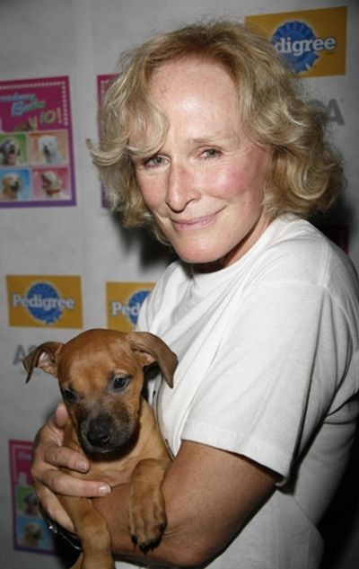 Glenn Close
 Photo