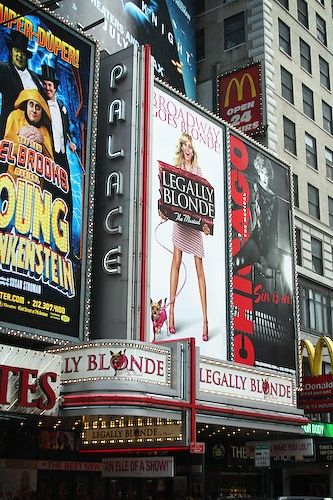 Photo Coverage: Legally Blonde's Bailey Hanks and 'Bruiser' Meet the Press — photo 1 of 10