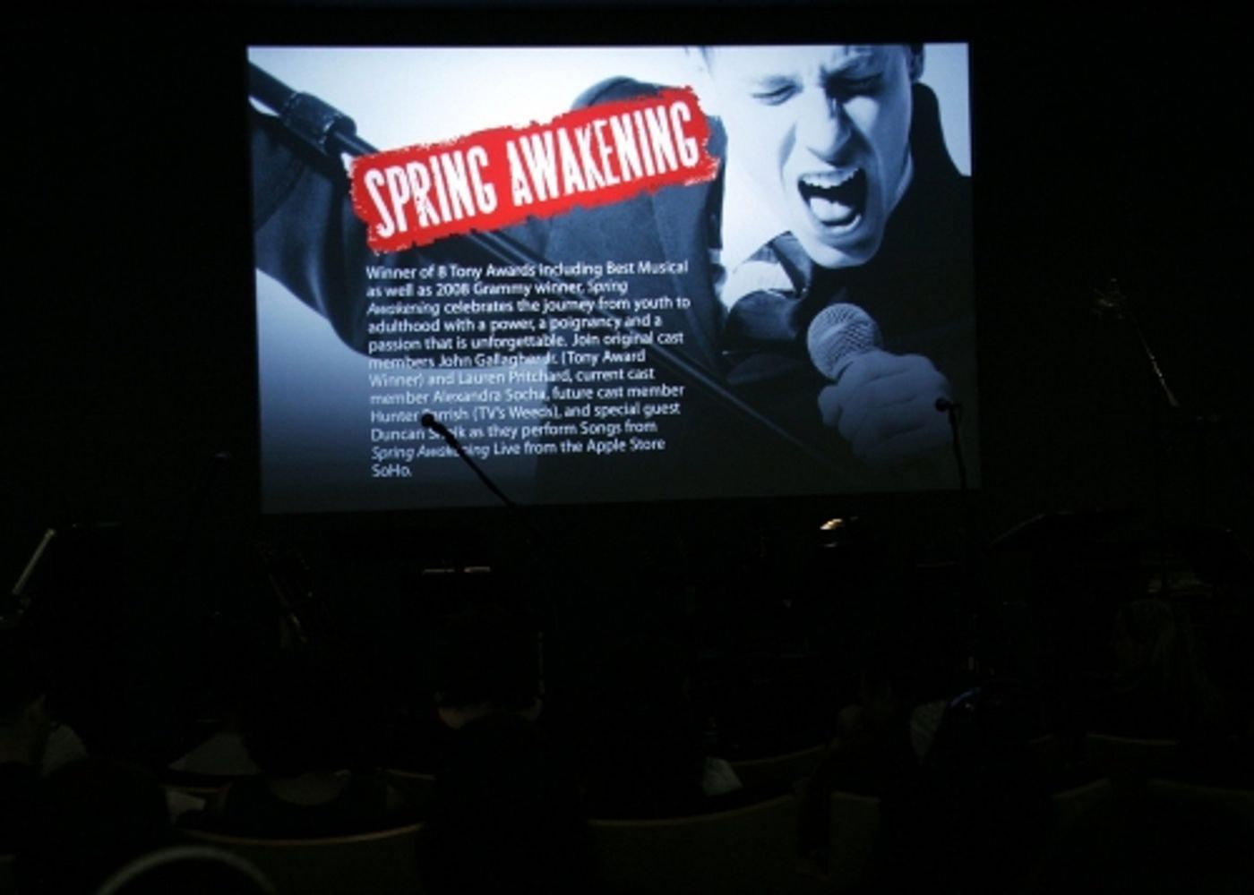Photo Coverage: 'Spring Awakening' LIVE at the Apple Store  Image