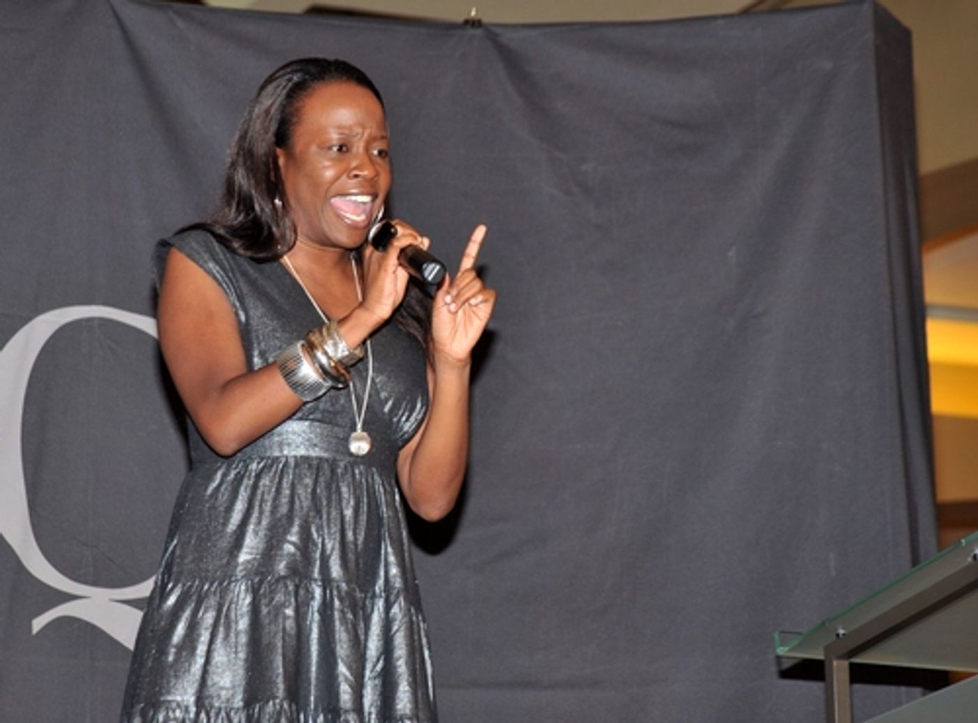 Photo Coverage: Jeannette Bayardelle Performs for the Heart Gallery  Image