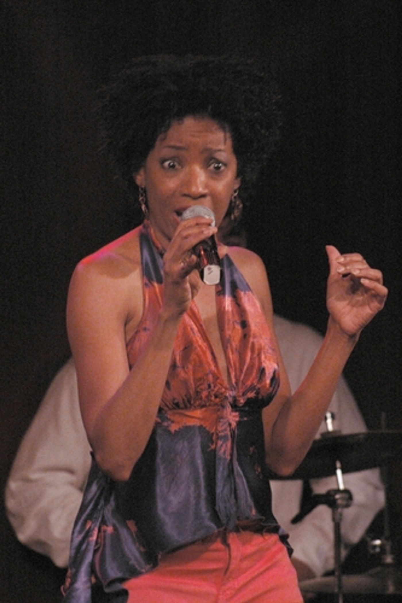 Photo Coverage: Anthology of Black Music Concert Benefit  Image