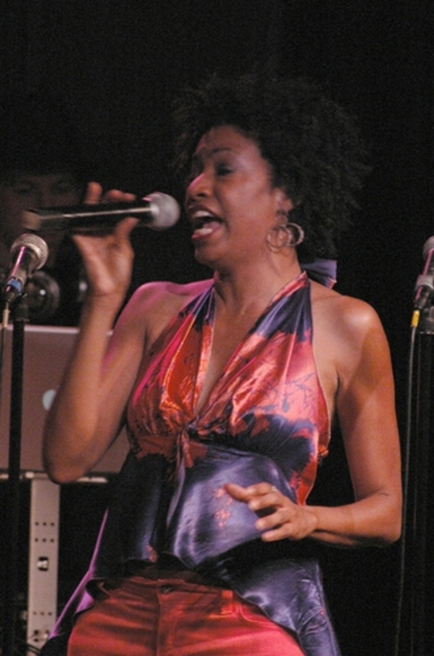 Photo Coverage: Anthology of Black Music Concert Benefit  Image