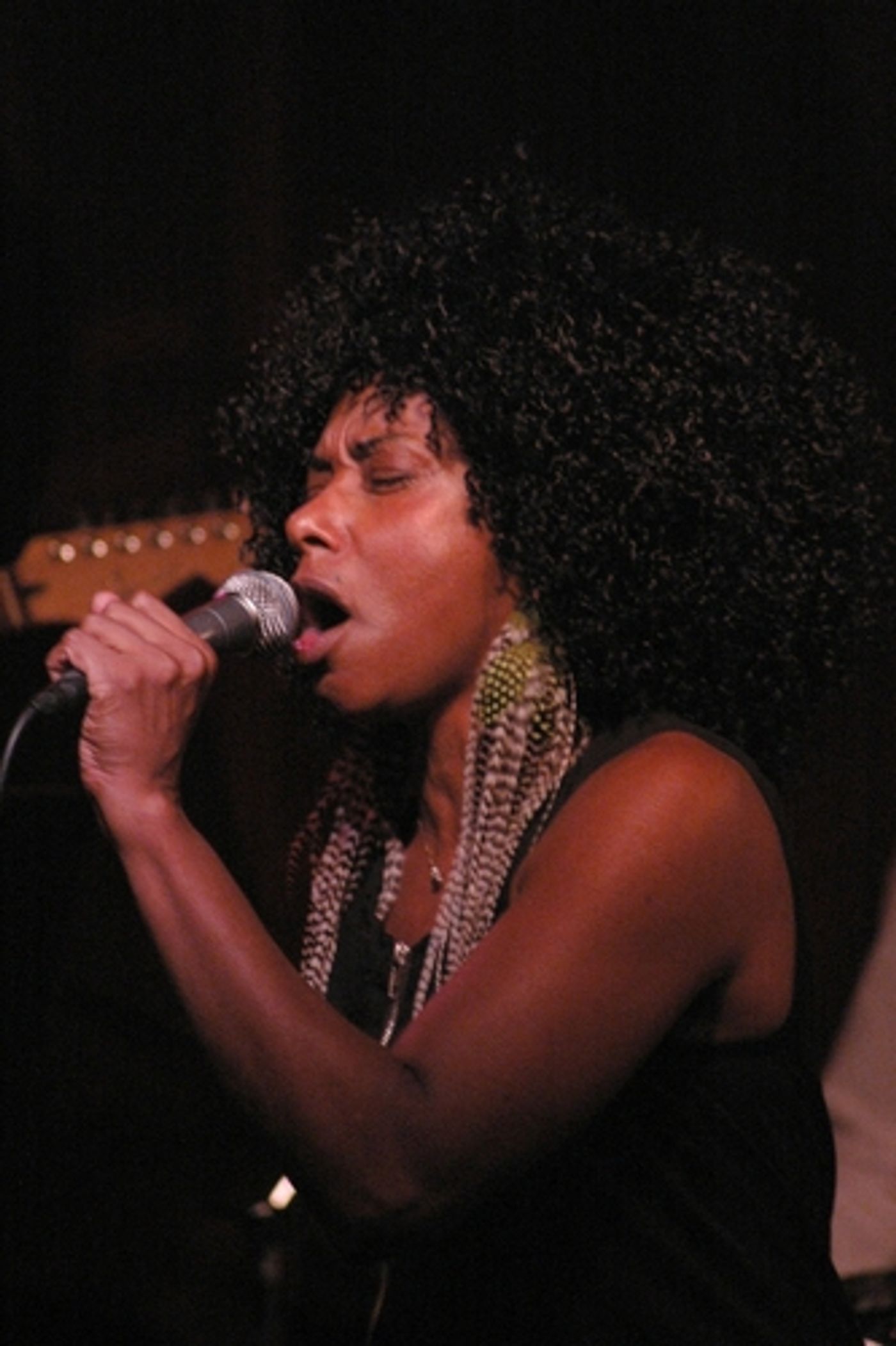 Photo Coverage: Anthology of Black Music Concert Benefit  Image
