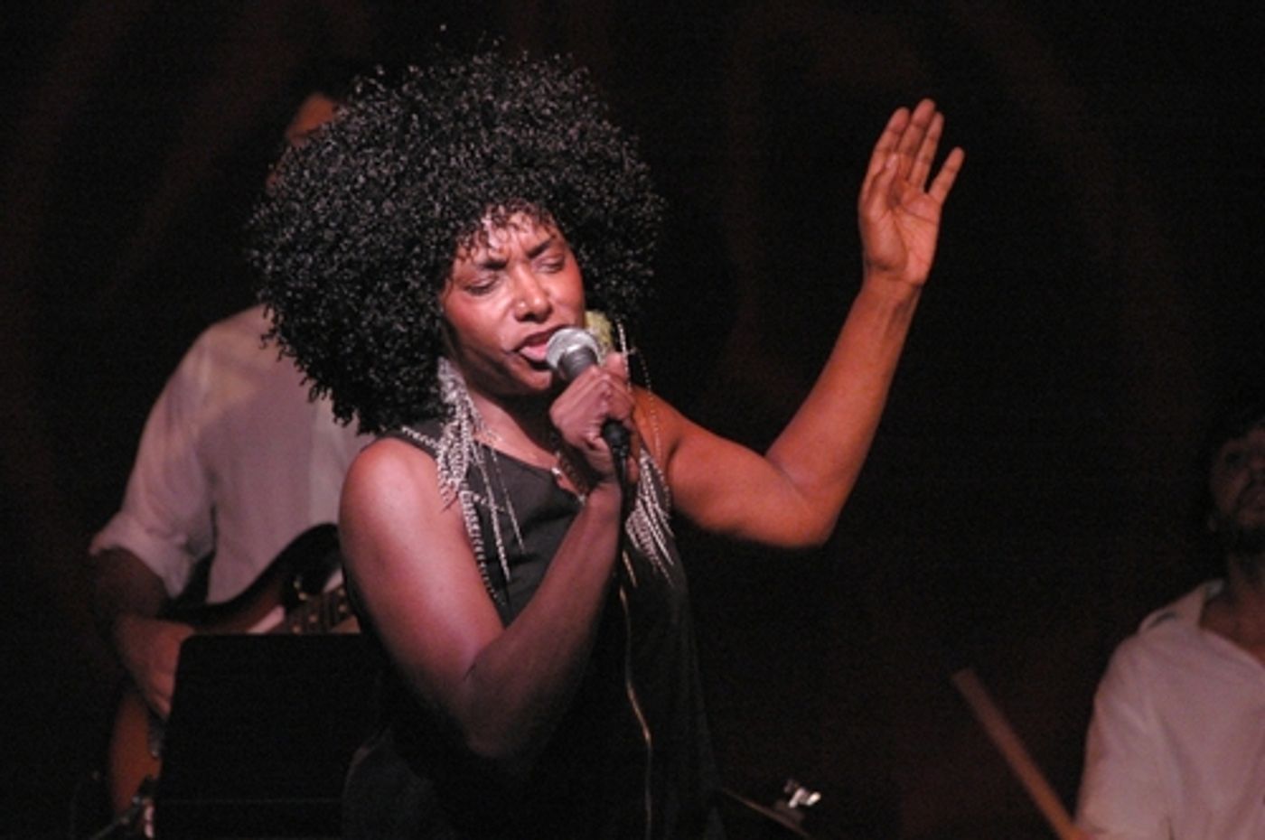 Photo Coverage: Anthology of Black Music Concert Benefit  Image