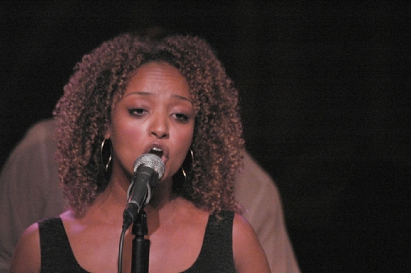 Photo Coverage: Anthology of Black Music Concert Benefit  Image