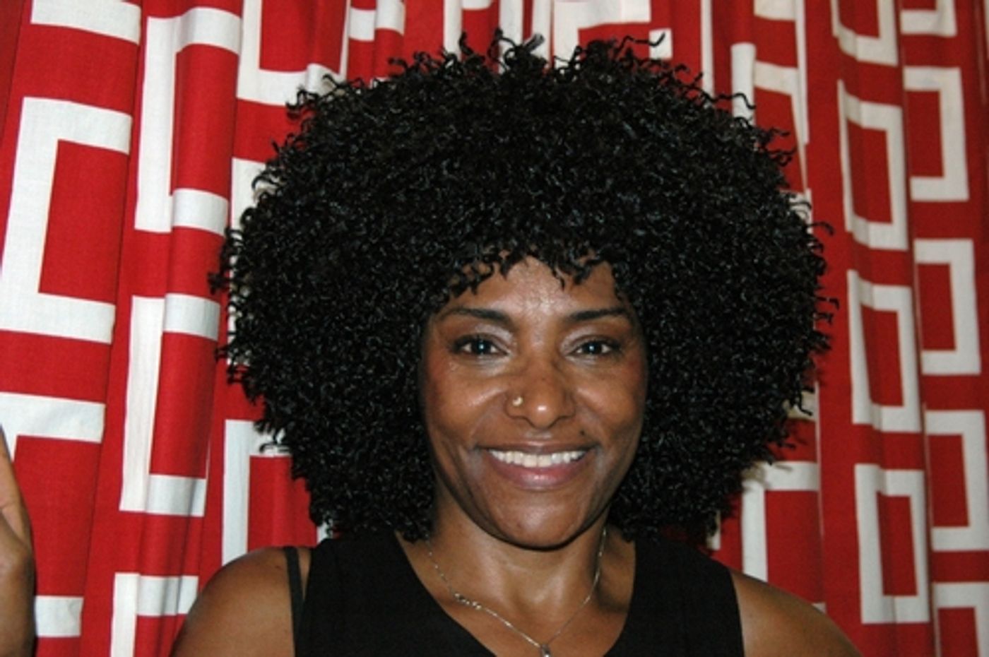 Photo Coverage: Anthology of Black Music Concert Benefit  Image