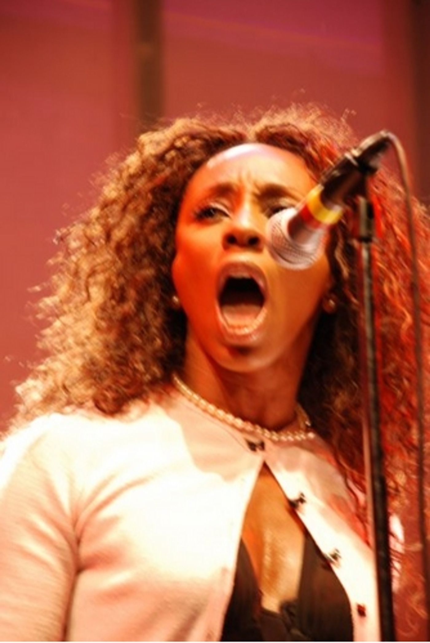 Photo Flash: One Night Only Concert, 'Street Lights for Obama'  Image