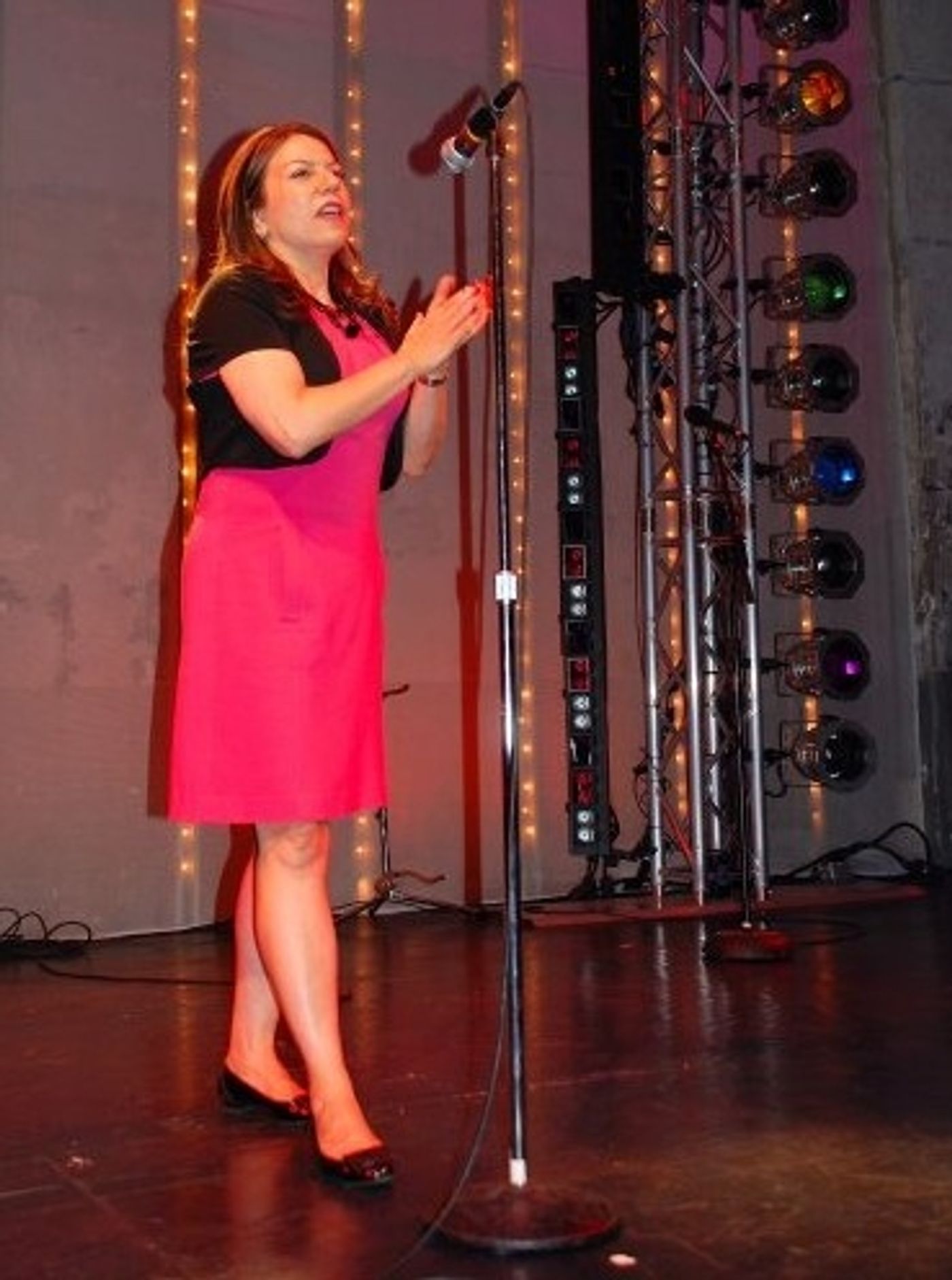 Photo Flash: One Night Only Concert, 'Street Lights for Obama'  Image