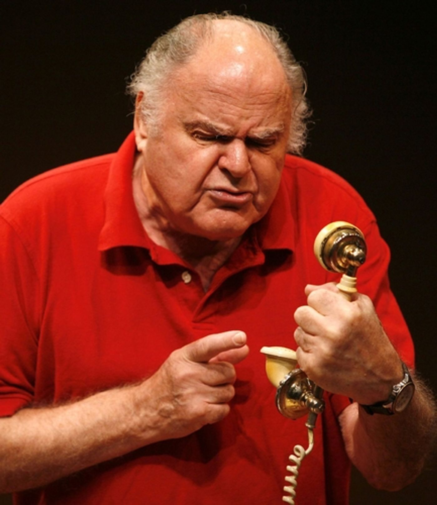 Photo Coverage: Sneak Peek at  'Enter Laughing' In Rehearsal  Image