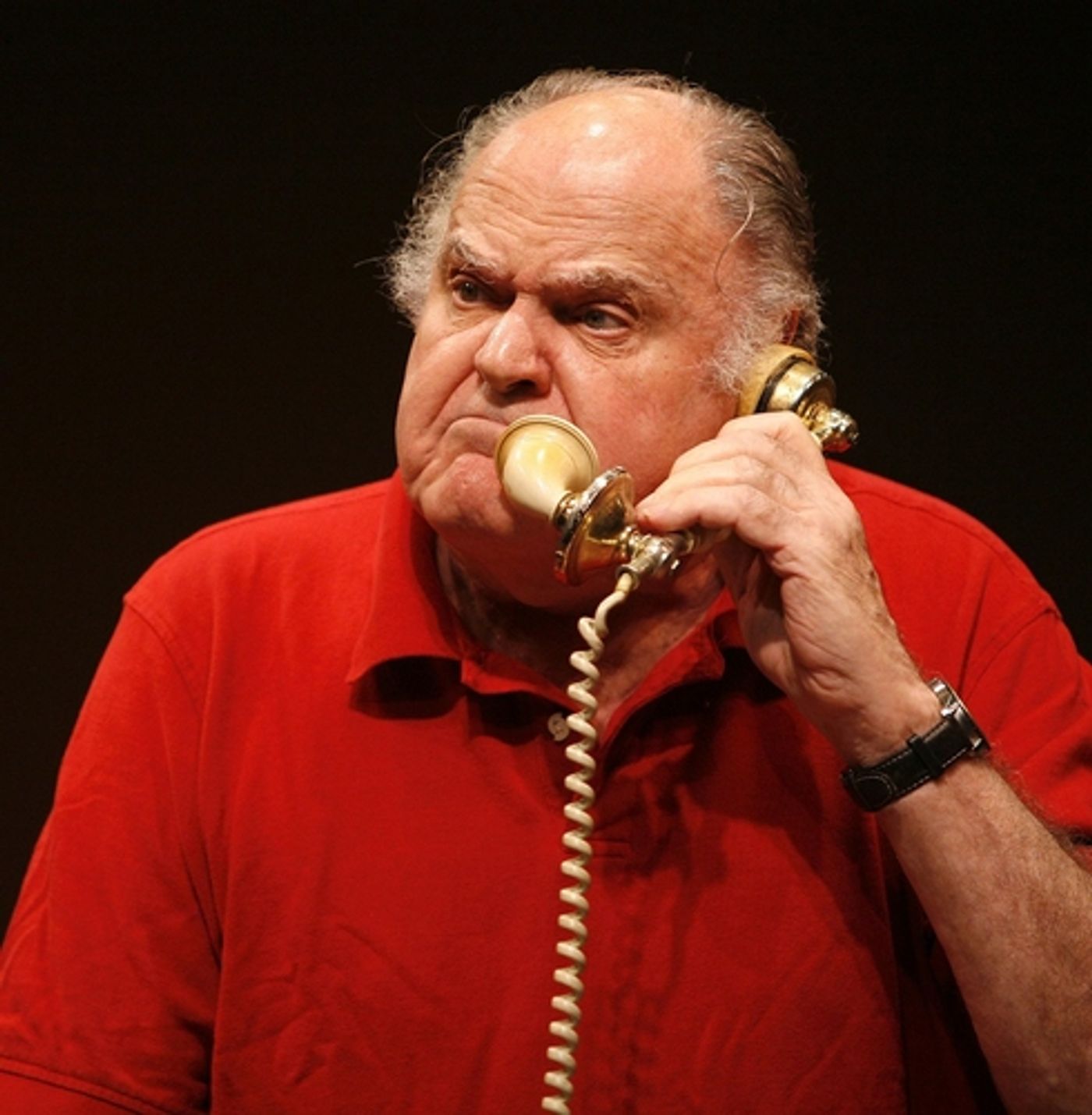 Photo Coverage: Sneak Peek at  'Enter Laughing' In Rehearsal  Image