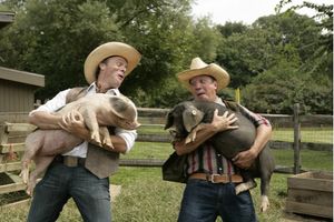 Rob Sutton and Stacey Todd Holt Photo