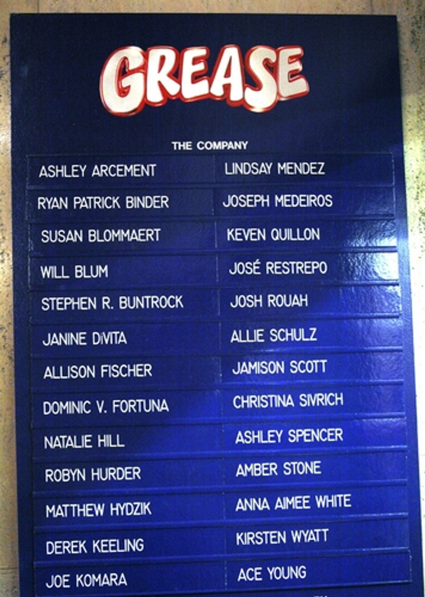 Photo Coverage: Ace Young Makes Broadway Debut in GREASE  Image