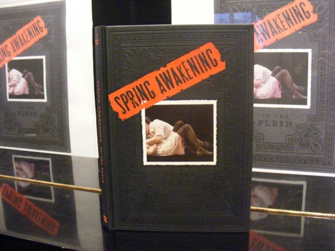 Photo Coverage: 'Spring Awakening In The Flesh' Performance and Book Signing at Barnes & Noble  Image
