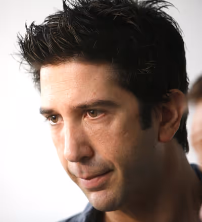 David Schwimmer Photo