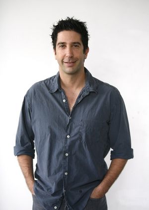 David Schwimmer Photo