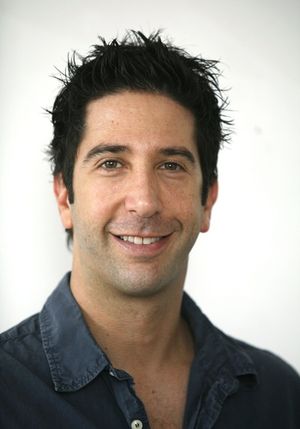 David Schwimmer Photo