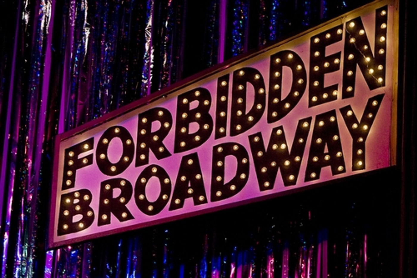 Photo Coverage: 'Forbidden Broadway Goes to Rehab' Has A Joyous Opening Night!  Image
