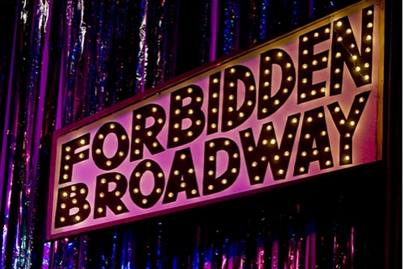 Photo Coverage: 'Forbidden Broadway Goes to Rehab' Has A Joyous Opening Night!  Image