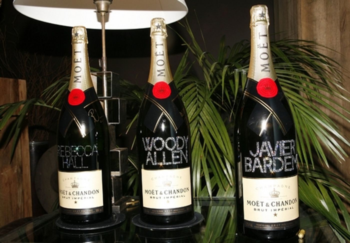 Photo Coverage: 'Vicky Cristina Barcelona' Press Conference at San Sebastian Film Festival Photo Coverage: 'Vicky Cristina Barcelona' Press Conference at San Sebastian Film Festival Image