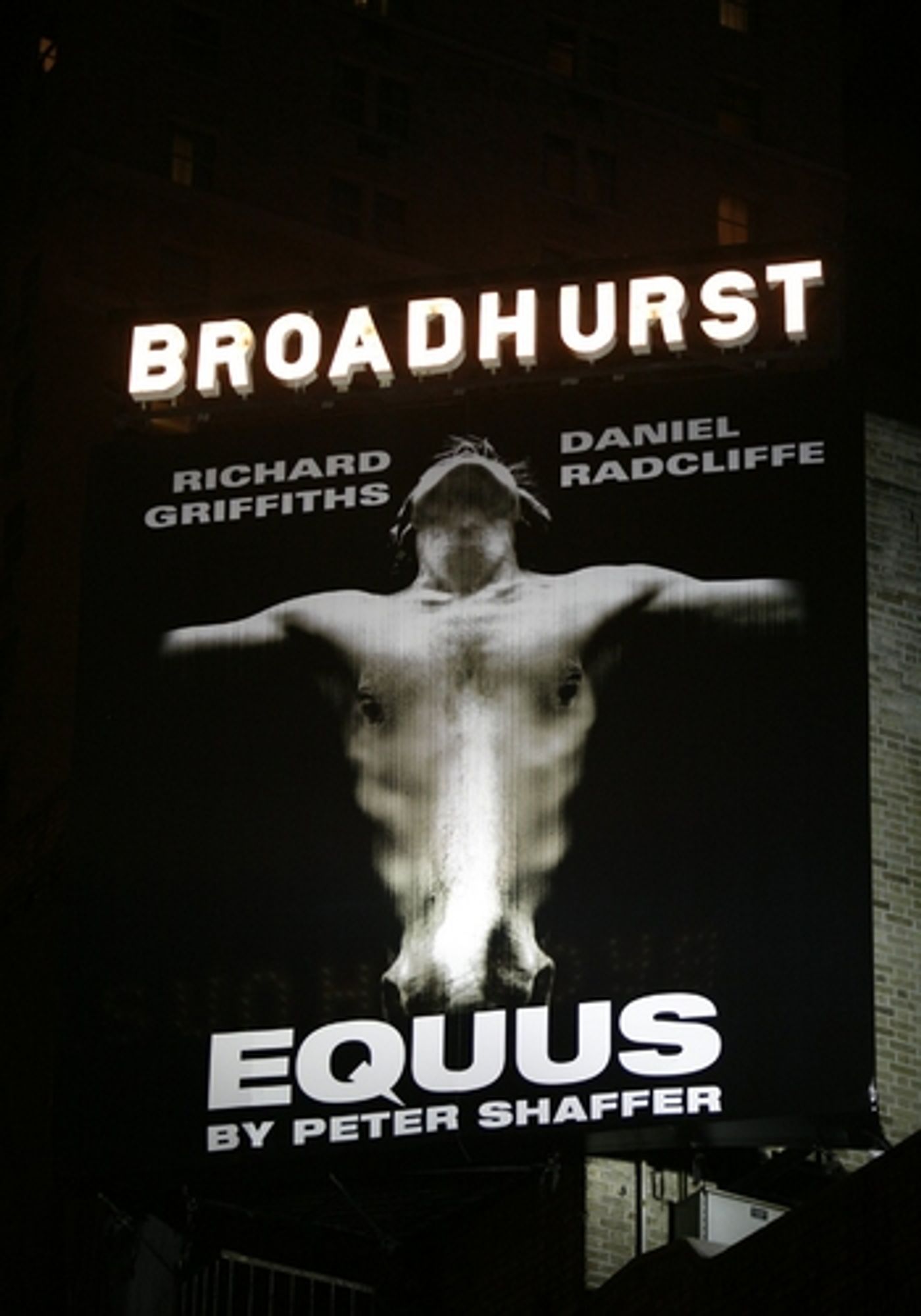 Photo Coverage: EQUUS Opening Night Theatre Arrivals  Image