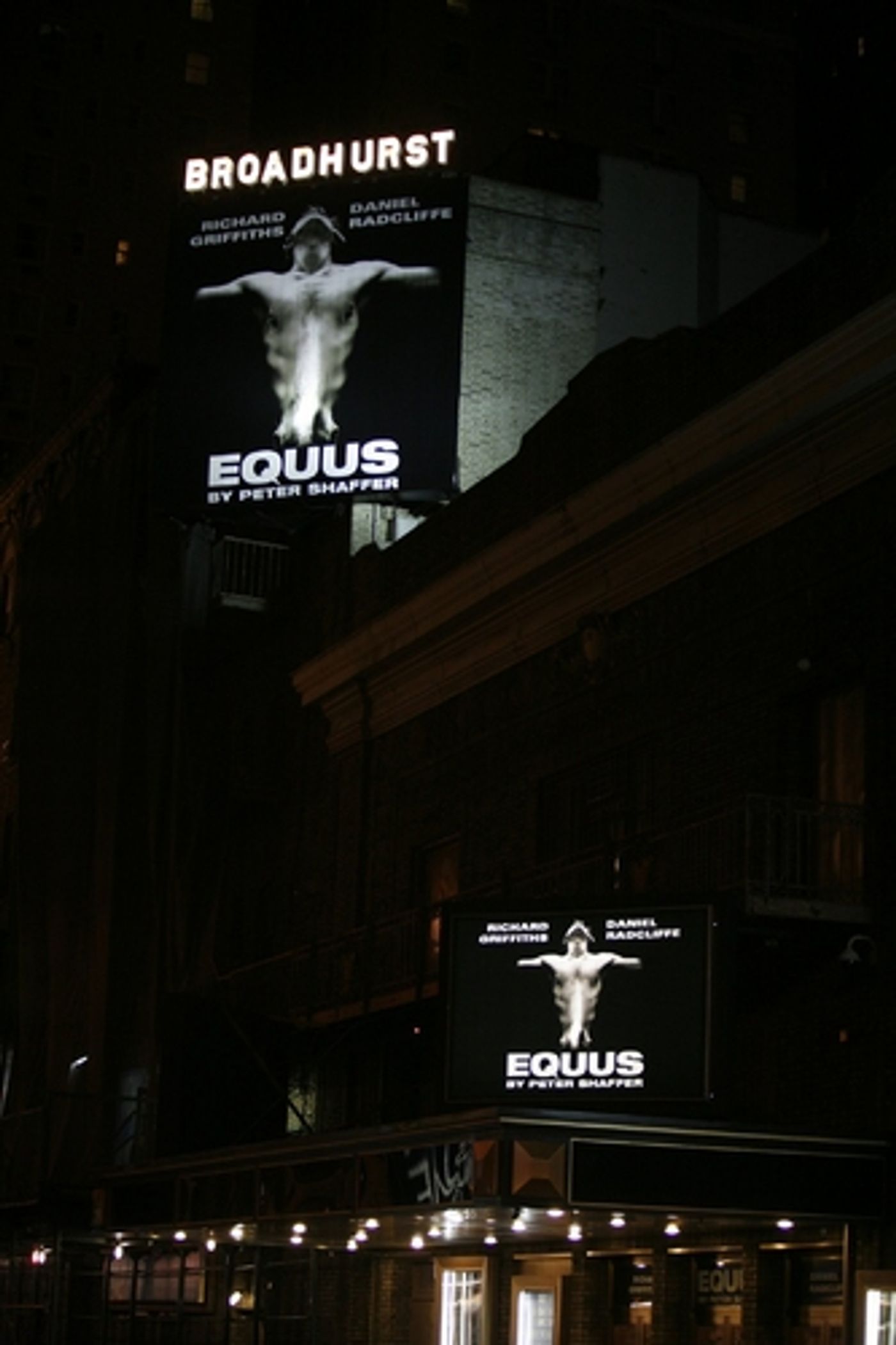 Photo Coverage: EQUUS Opening Night Theatre Arrivals  Image