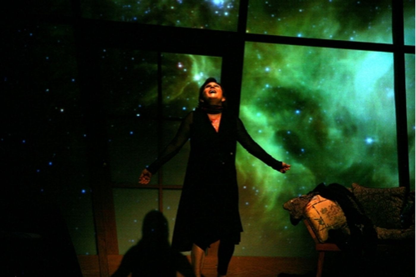 Photo Coverage: Final Curtain Call of Fisher's 'Wishful Drinking' at Arena  Image