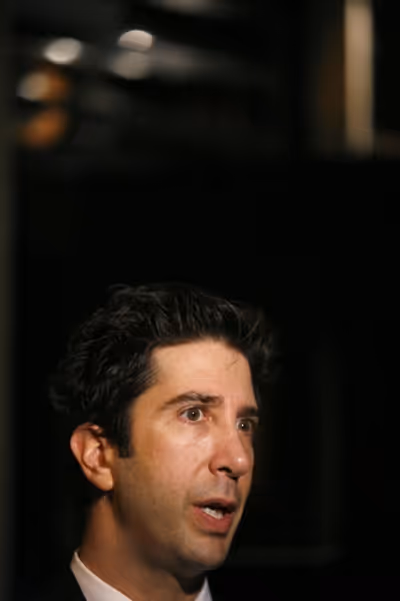 David Schwimmer Photo