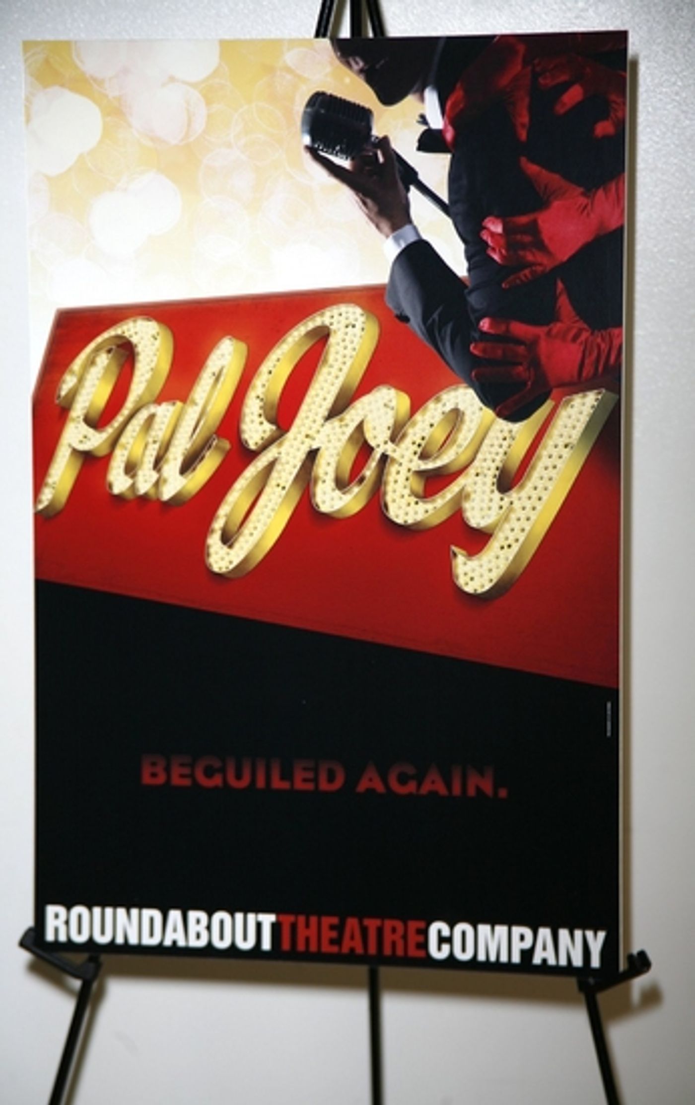 Photo Coverage: Roundabout's 'Pal Joey' Cast Meets the Press  Image