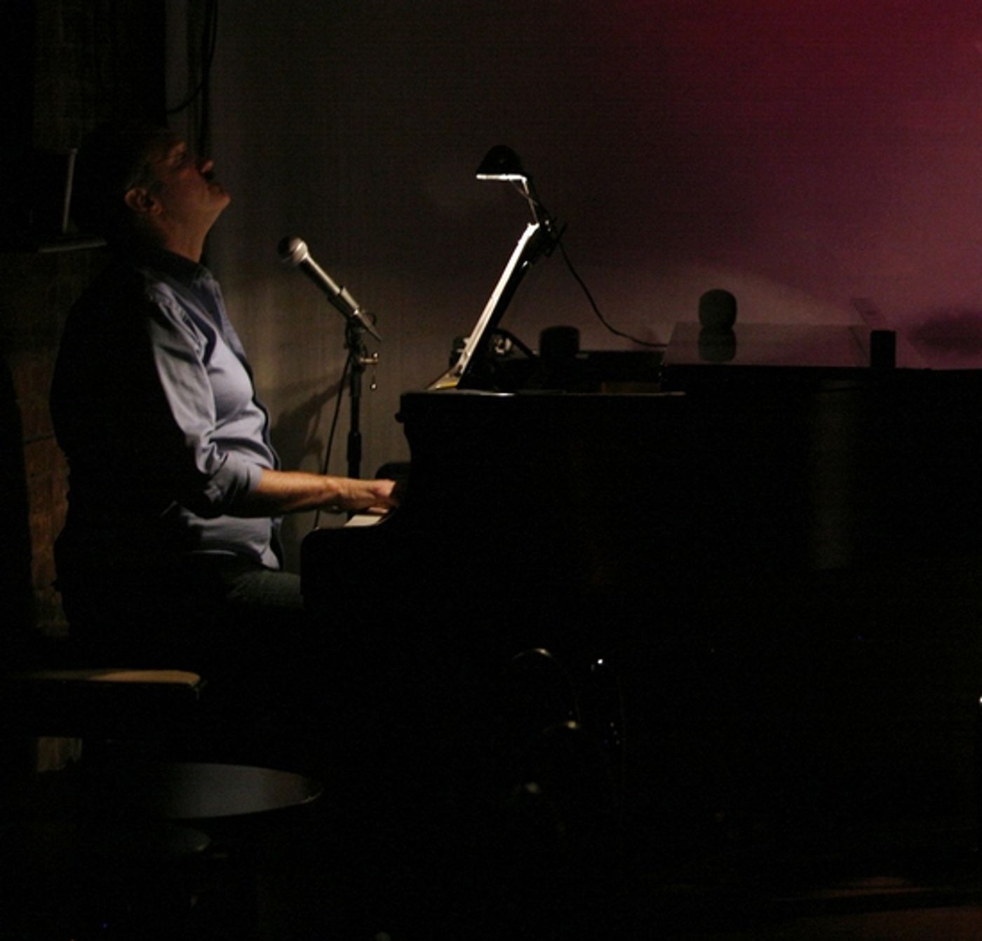 Photo Coverage: Devlin in Rehearsal for 'The Places You Find Love' at Don't Tell Mama  Image