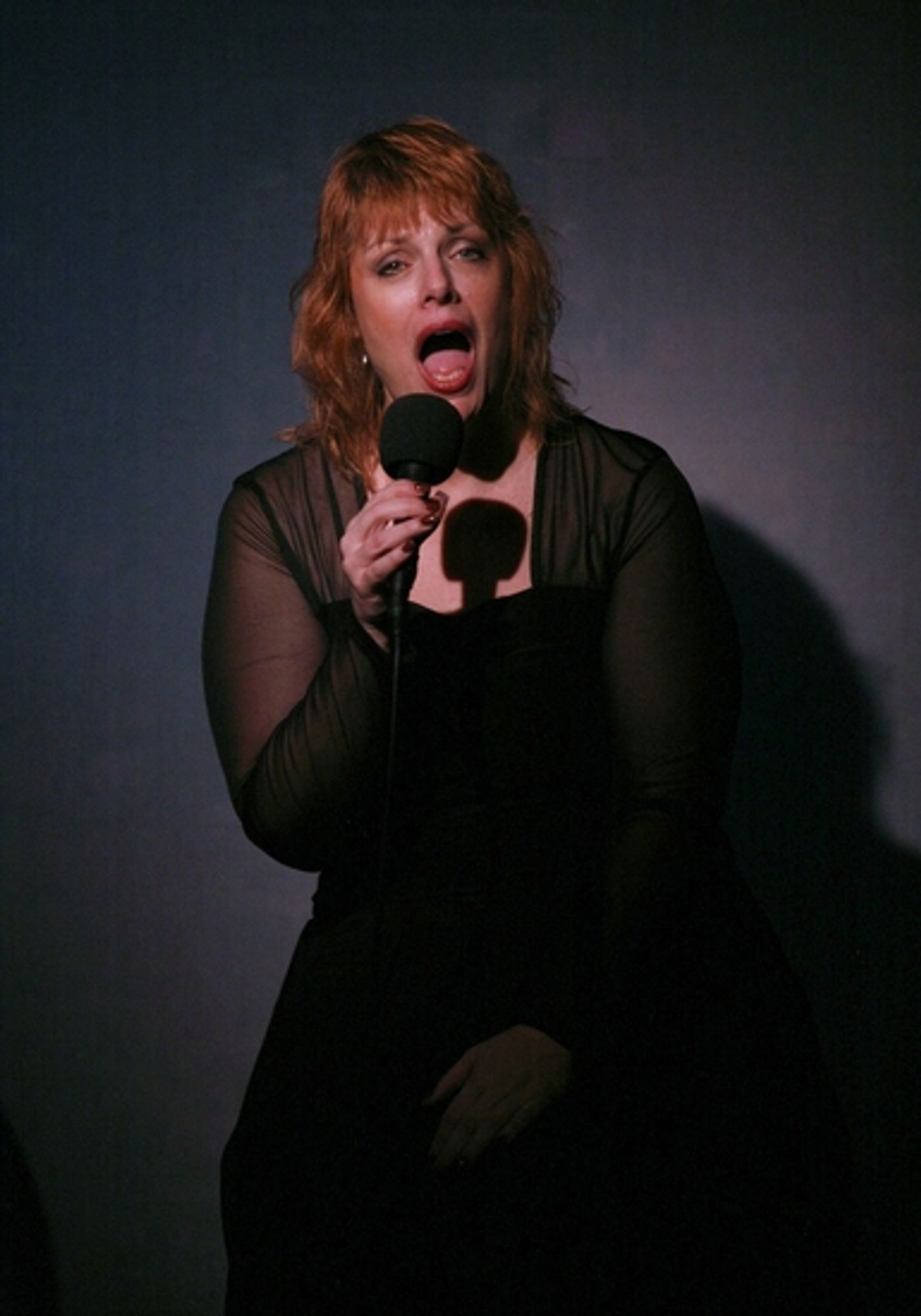 Photo Coverage: Devlin in Rehearsal for 'The Places You Find Love' at Don't Tell Mama  Image