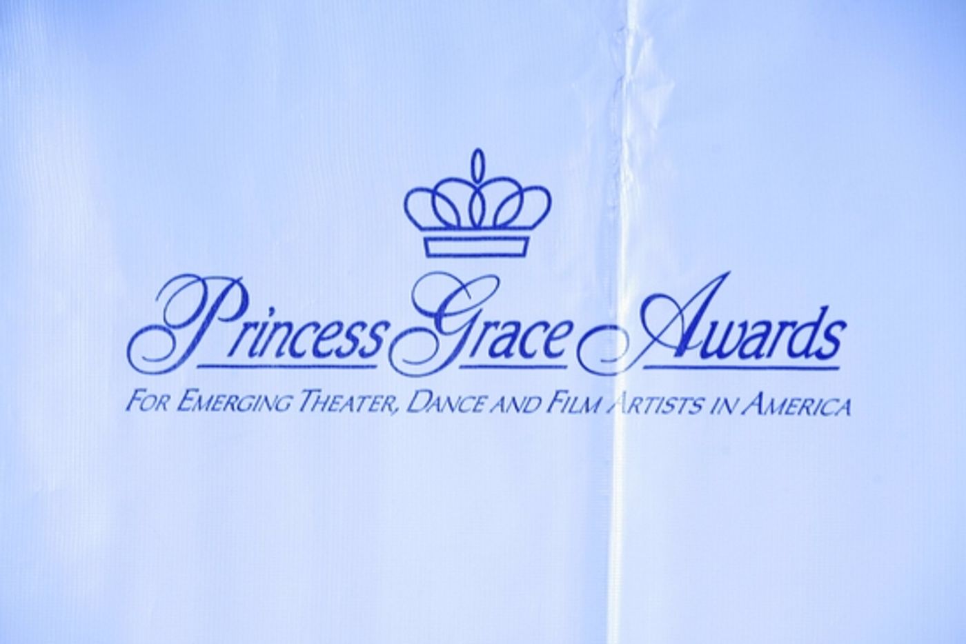 Photo Coverage: Glenn Close Honored at Princess Grace Awards Gala  Image