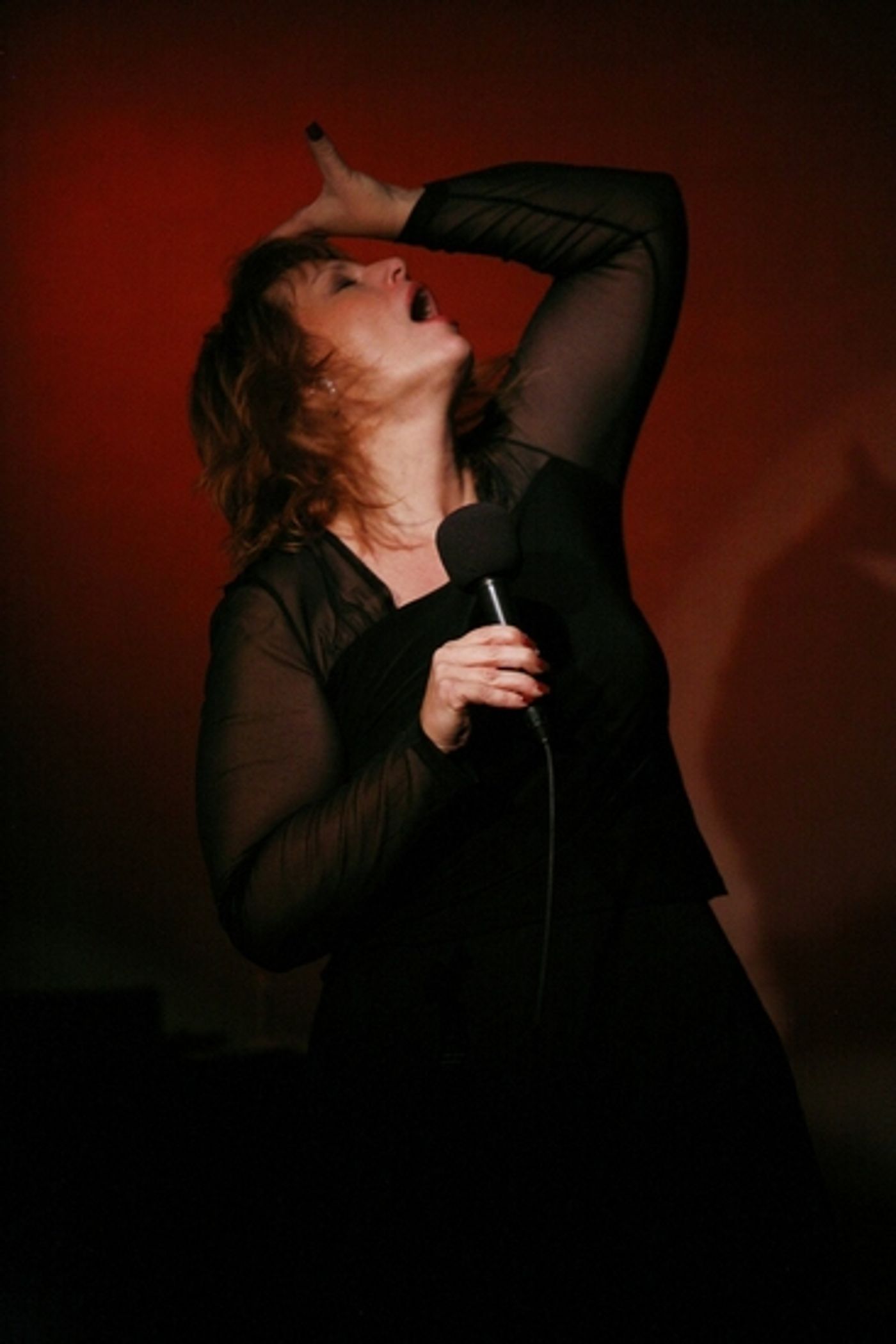 Photo Coverage: DEVLIN's Closing Night at Don't Tell Mama  Image