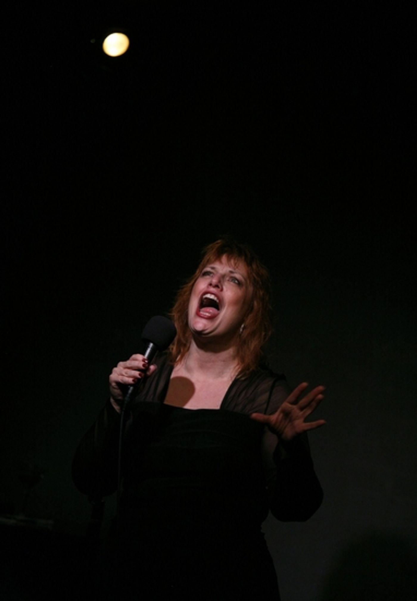 Photo Coverage: DEVLIN's Closing Night at Don't Tell Mama  Image