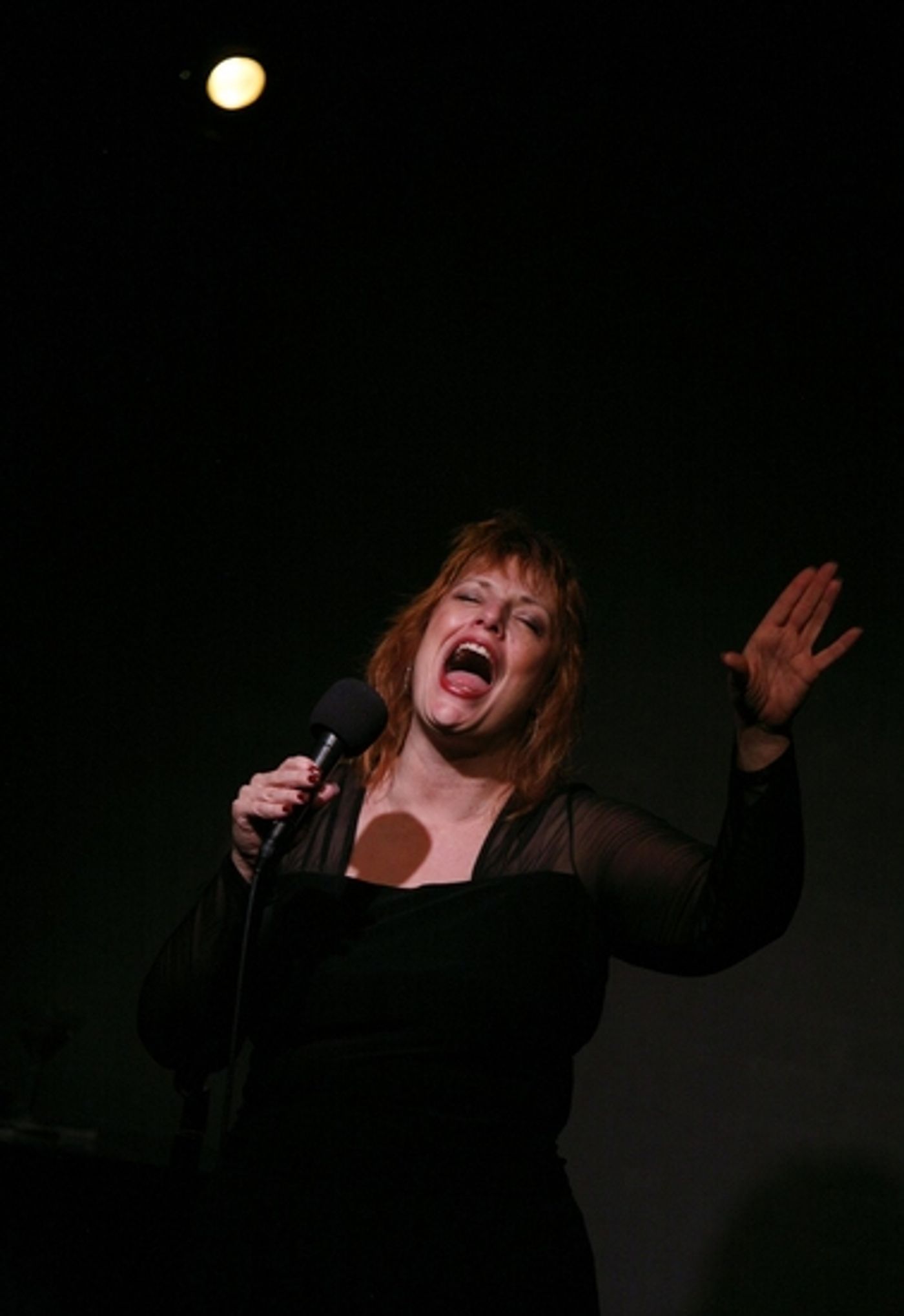 Photo Coverage: DEVLIN's Closing Night at Don't Tell Mama  Image