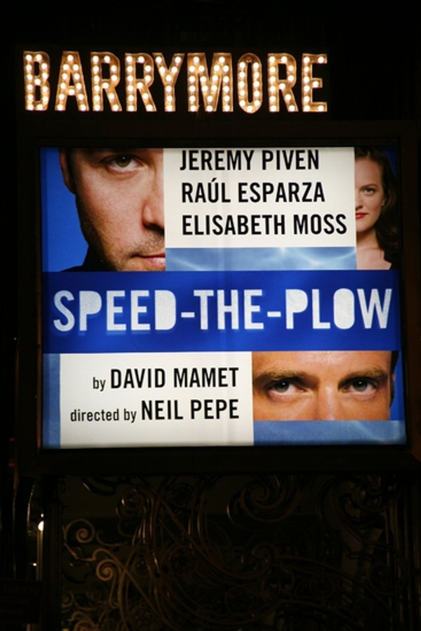 Photo Coverage: SPEED-THE-PLOW Red Carpet Arrivals  Image
