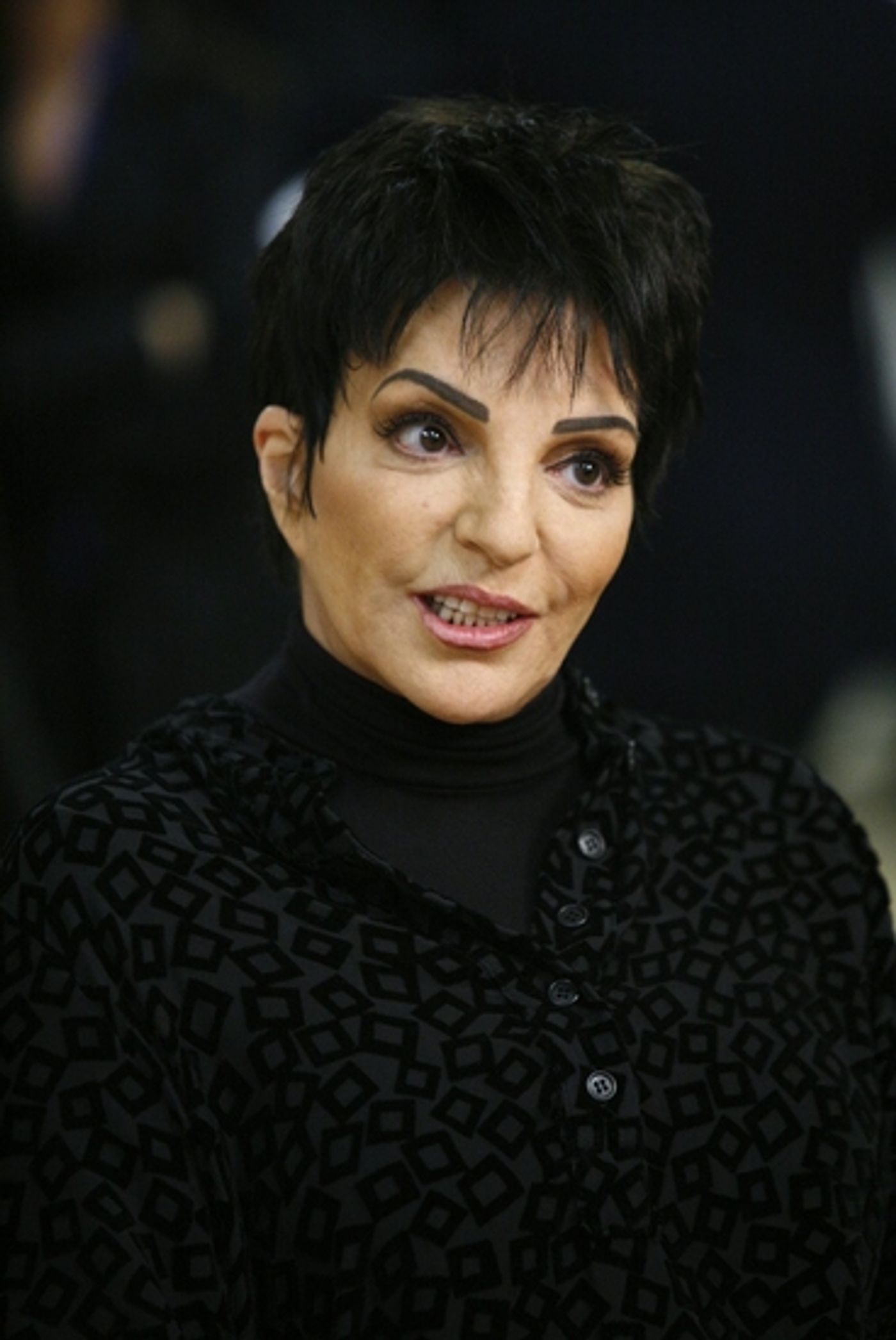 Photo Coverage: Liza's at the Palace...! Meets The Press  Image