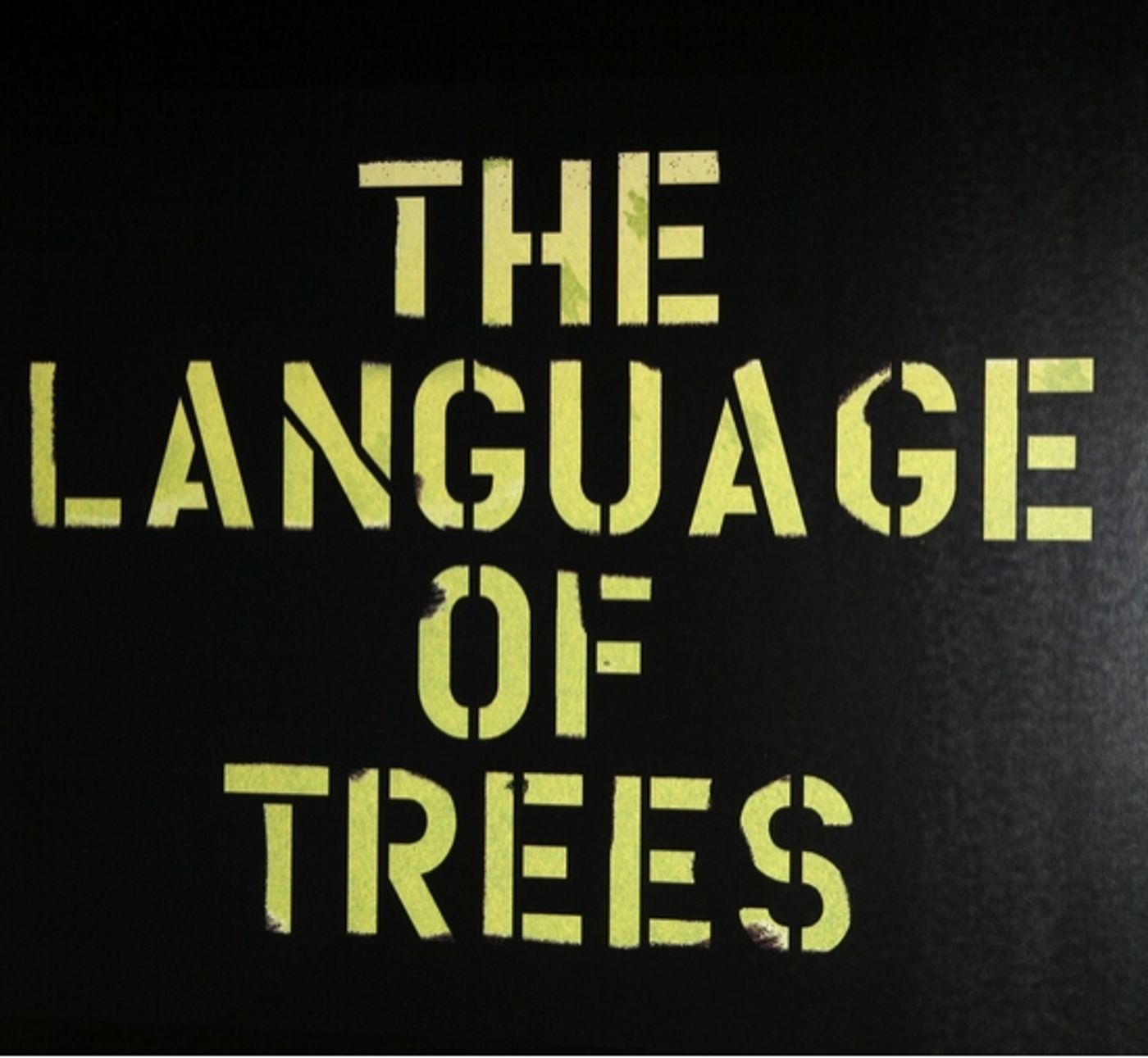 Photo Coverage: Roundabout's THE LANGUAGE OF TREES Opening Night  Image