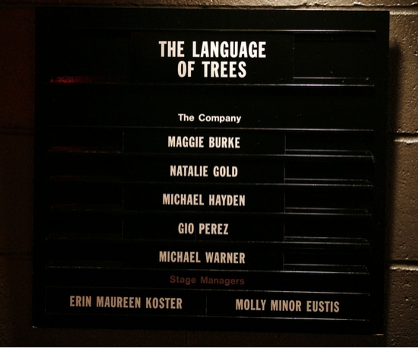 Photo Coverage: Roundabout's THE LANGUAGE OF TREES Opening Night  Image