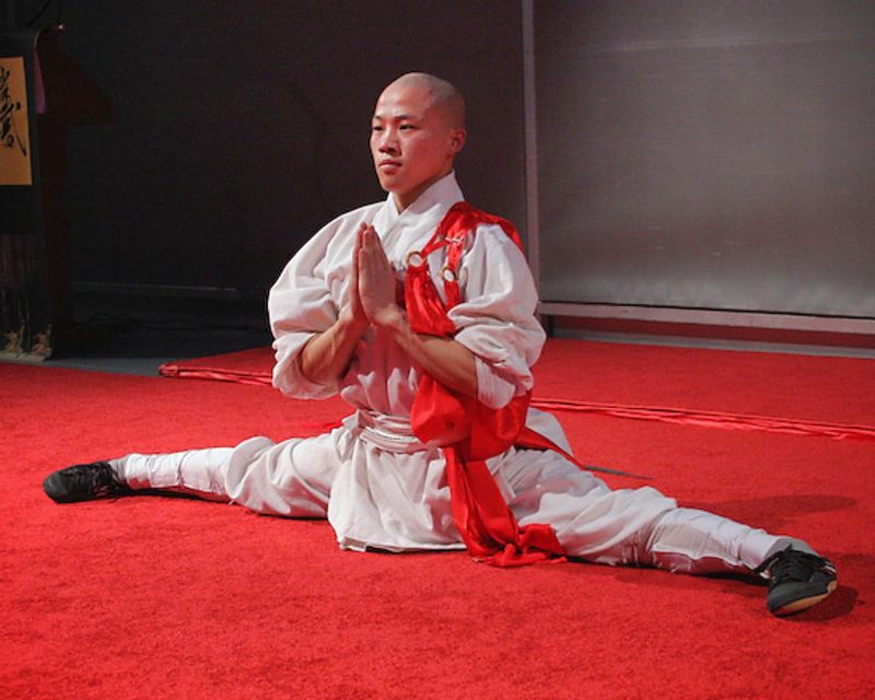 Photo Coverage: SOUL OF SHAOLIN Press Preview — photo 6 of 26
