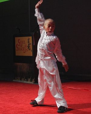 Wang Sen as young Hui Guang Photo