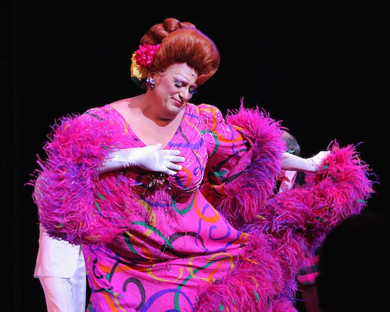 Photo Coverage: HAIRSPRAY Welcomes Back Harvey! — photo 12 of 33